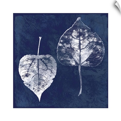 Cyanotype Ash Leaves