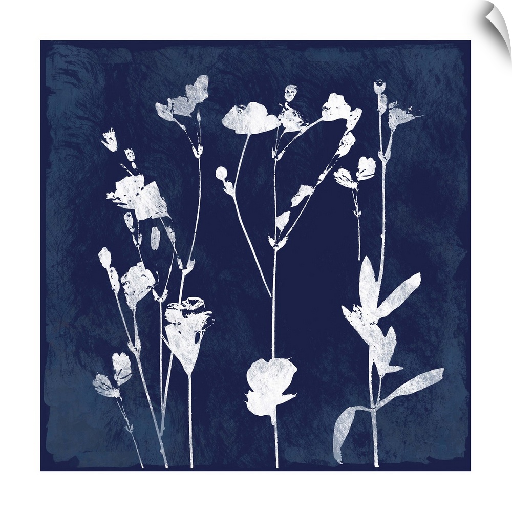 Square cyanotype of white silhouetted flowers on an indigo background with a white boarder.