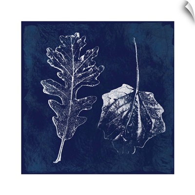 Cyanotype Oak Leaves