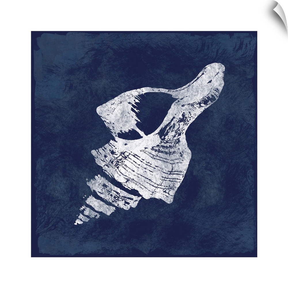 Square cyanotype of a white silhouetted seashell on an indigo background with a white boarder.