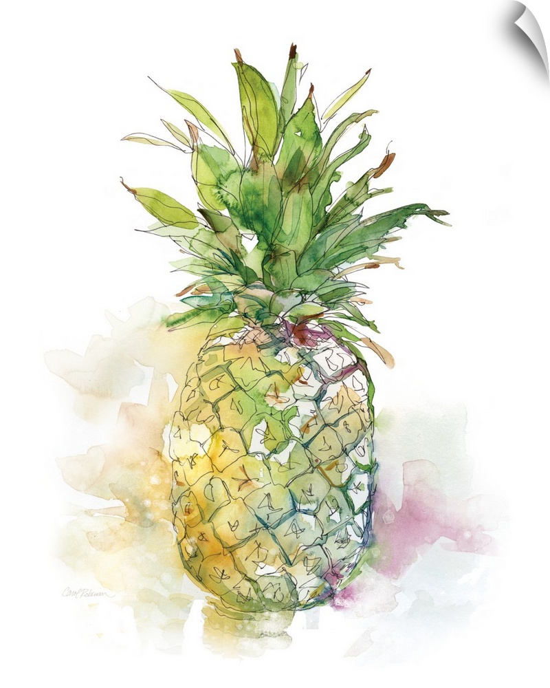 Cool toned watercolor painting of a pineapple.