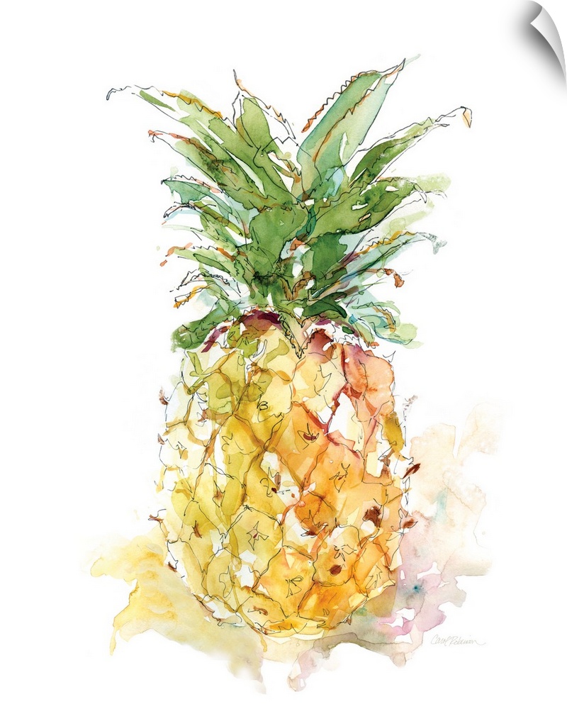 Warm toned watercolor painting of a pineapple.