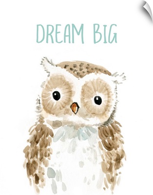 Dream Big Owl