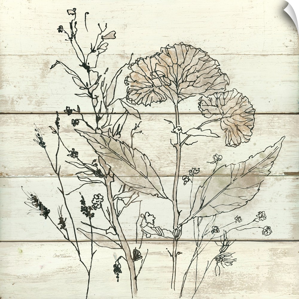 Square illustration of dried flowers on a white wooden background.