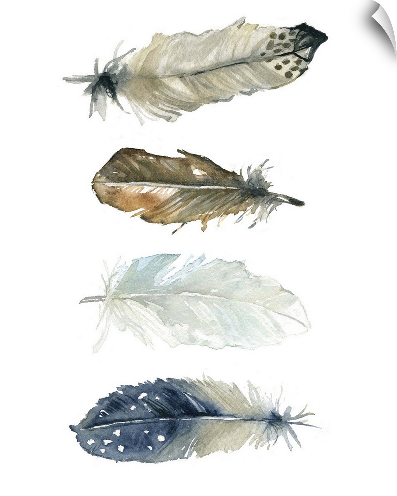 Four watercolor feathers of different designs and colors.