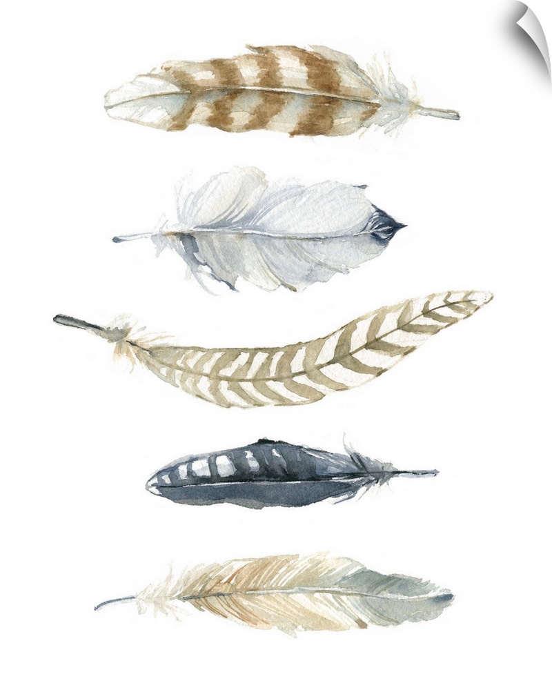 Five watercolor feathers of different designs and colors.