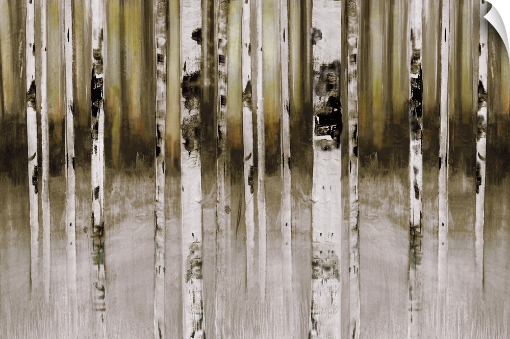 A contemporary painting of white, black and brown tree trunks in the woods.