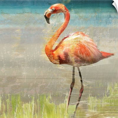 Flamingo Fancy II