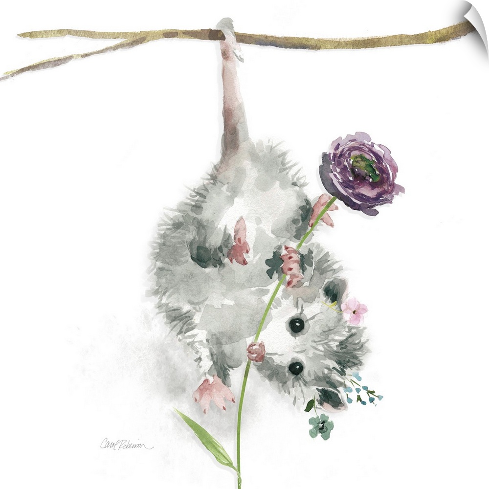 A watercolor painting of a garden possum hanging upside down from a branch wearing a flower crown and holding a long stemm...