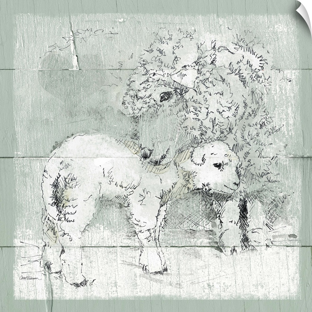 Drawing of a sheep and her lamb on a green wooden background.