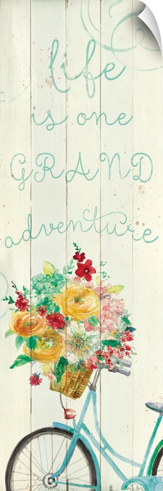 "Life is a Grand Adventure" written in blue on a faux wood background with an illustration of a bicycle on the bottom with...