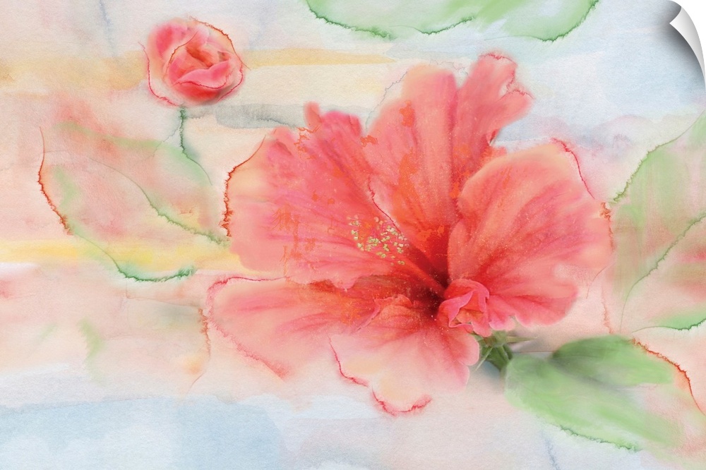 Contemporary watercolor painting of a pink hibiscus flower with green leaves on a background that has hints of blue, yello...