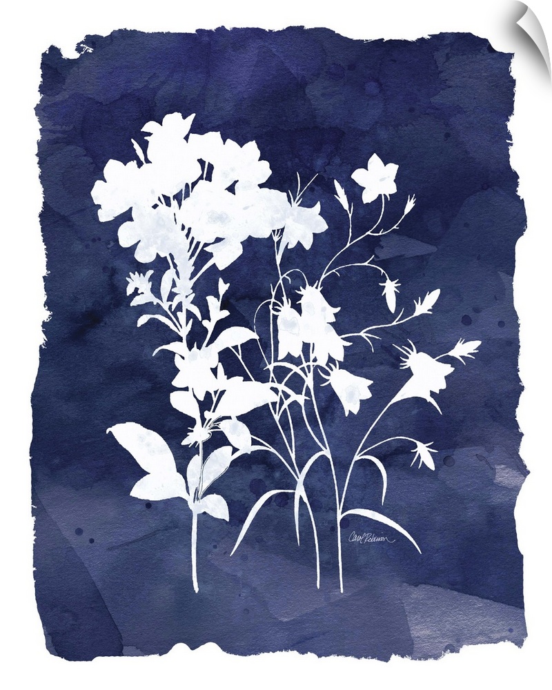 Cyanotype with white silhouetted flowers on an indigo background with a white boarder.