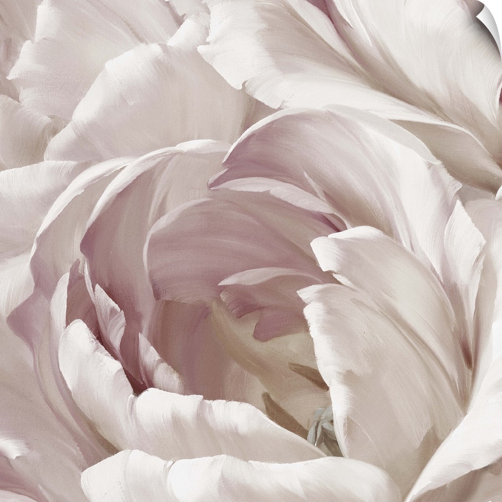 Contemporary square painting of a pink and white flower close-up.
