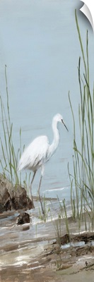 Island Egret I