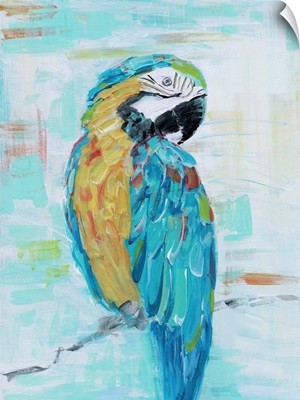 Island Parrot I