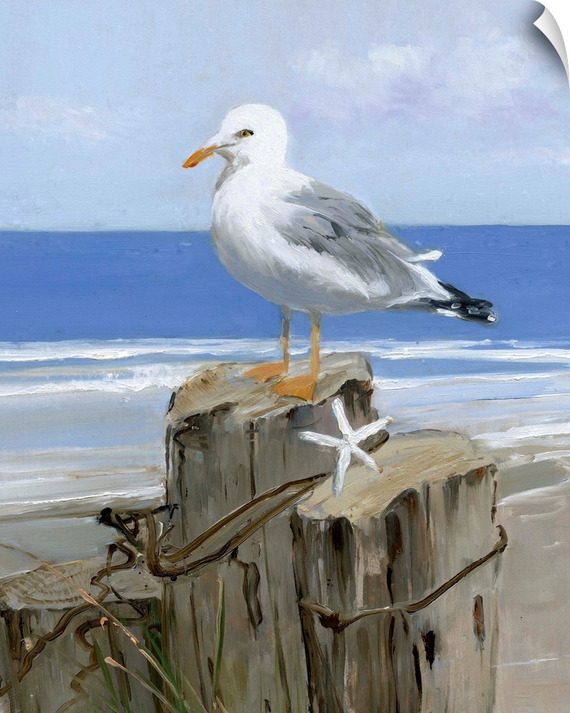 Contemporary painting of a seagull perched on a wooden post with a starfish and the ocean in the background.
