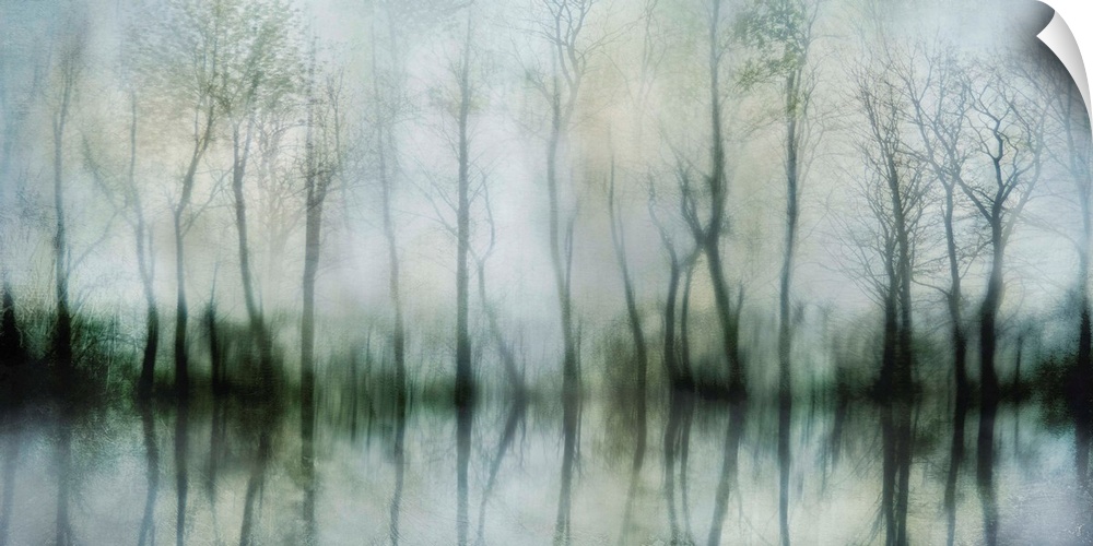 Contemporary artwork of shadowy bare trees at the edge of a pond.
