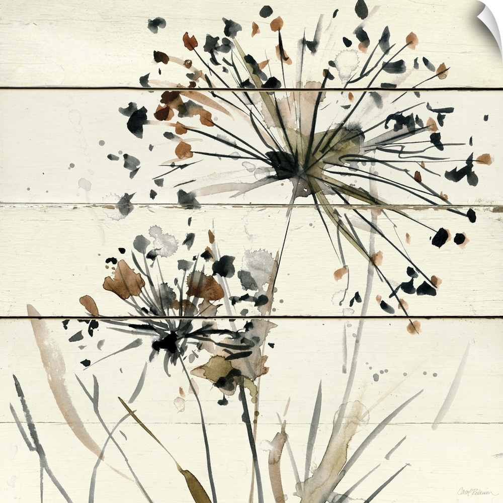 Square abstract watercolor painting of neutral toned dandelions on a white wood paneled background.