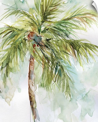 Palm Breezes I