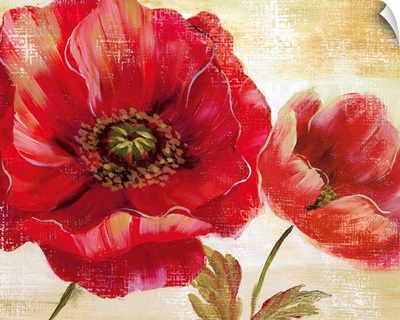 Passion for Poppies I