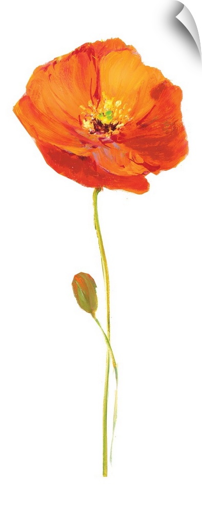 Tall contemporary painting of an orange poppy flower with a long stem on a solid white background.