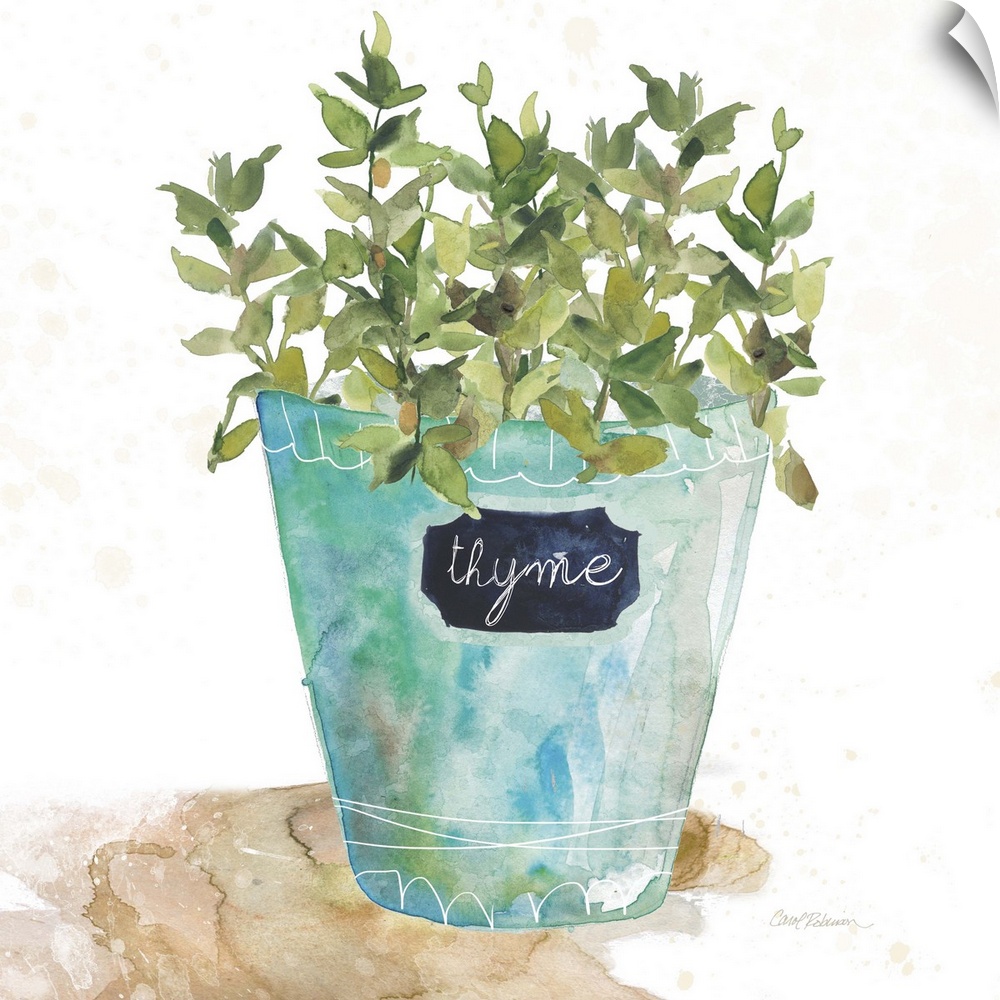 Square watercolor painting of a potted thyme plant.