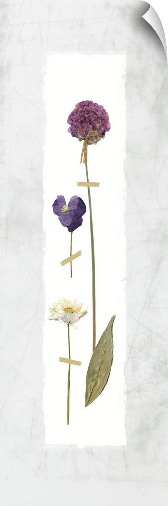 Panel decor with dried flowers pressed onto a painted white rectangle on a marble-like background.