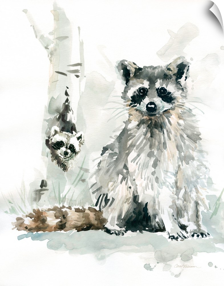 Contemporary watercolor painting of a mother and baby raccoon.
