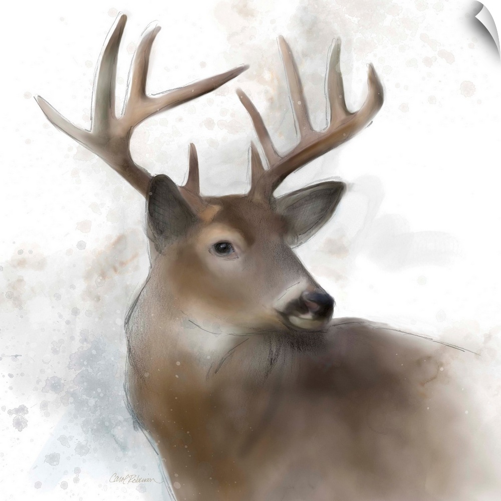 Watercolor portrait of a stag on white.