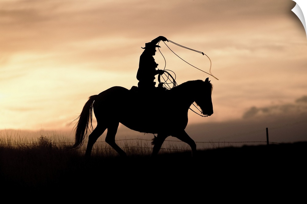 A photograph of a silhouette of a cowboy riding a horse in a field with a sunset.
