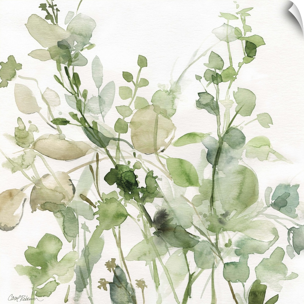 Square watercolor painting of a sage garden in shades of green and beige on a white background.