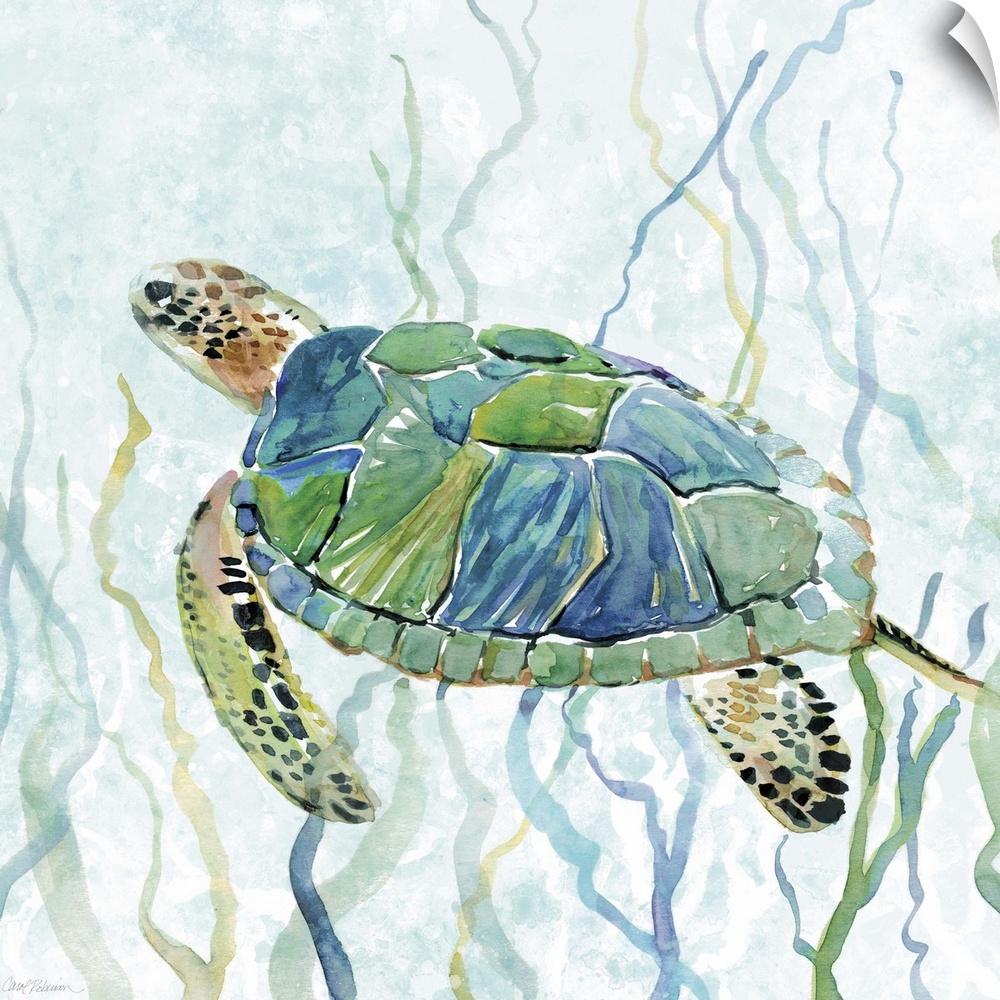 Square watercolor painting of a sea turtle swimming amongst seaweed in shades of blue and green.
