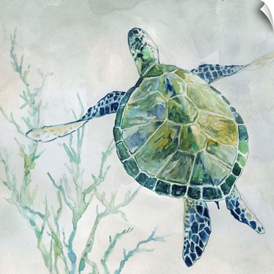 Seaglass Turtle II