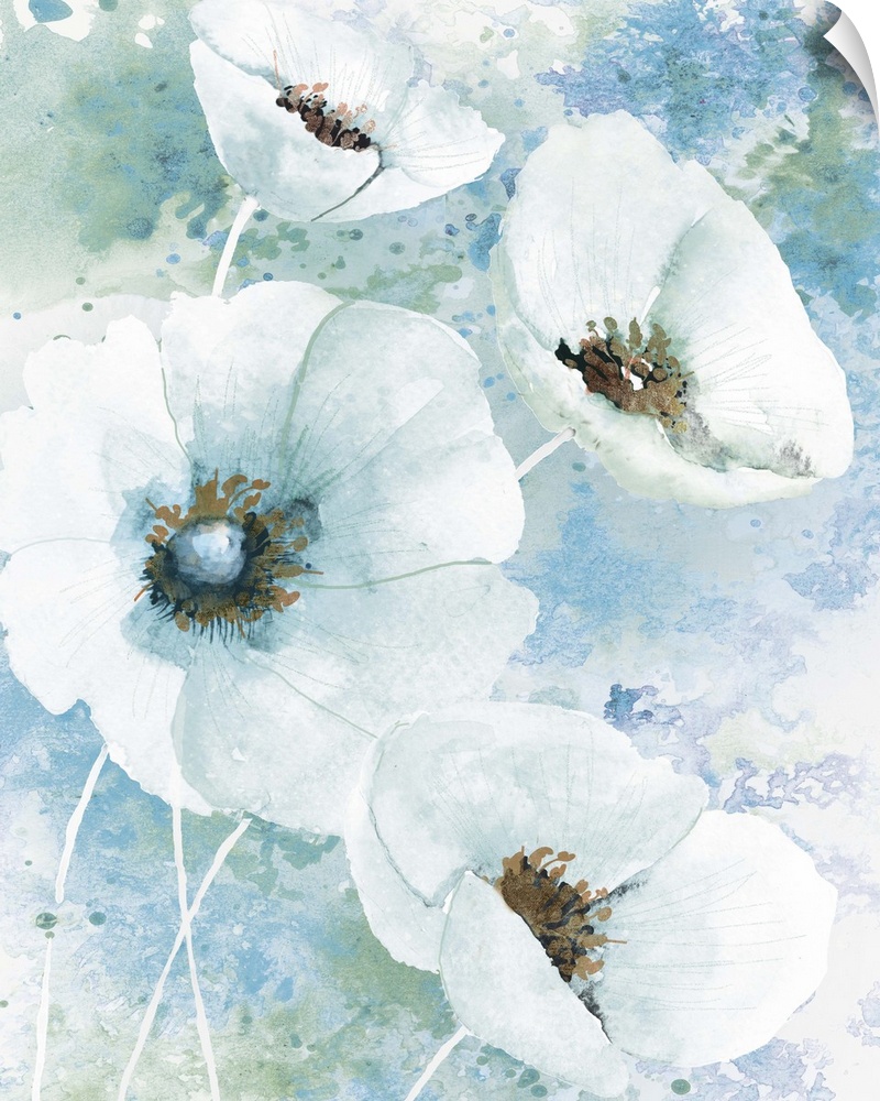 Watercolor painting of white poppies on a blue and green paint splattered background.