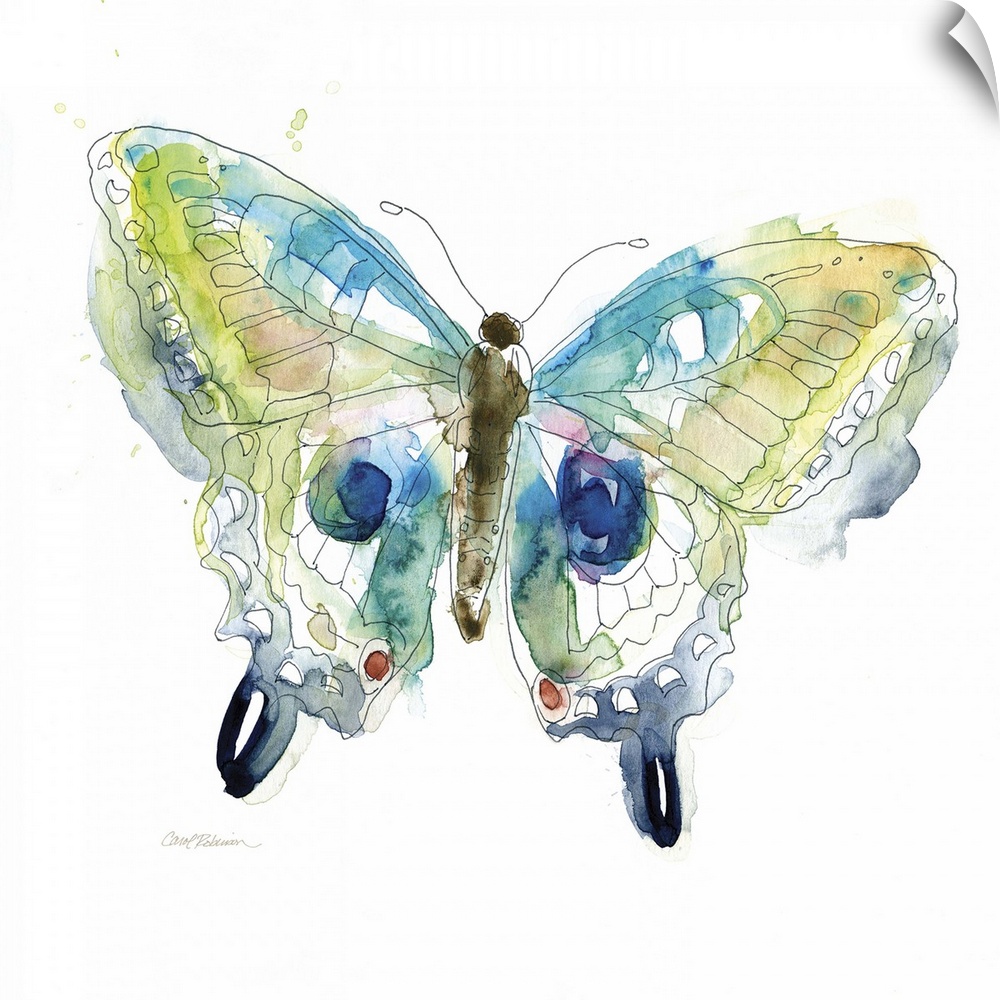 A watercolor painting of a colorful butterfly.