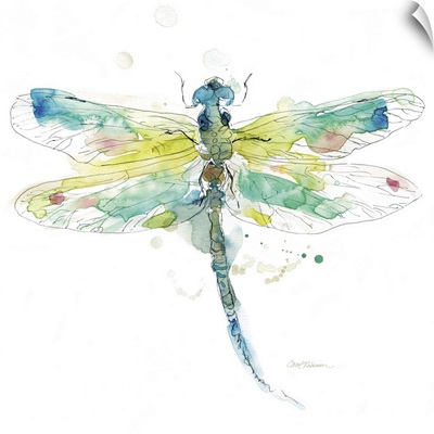 Sketchbook Dragonfly