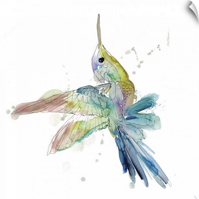 Sketchbook Hummingbird