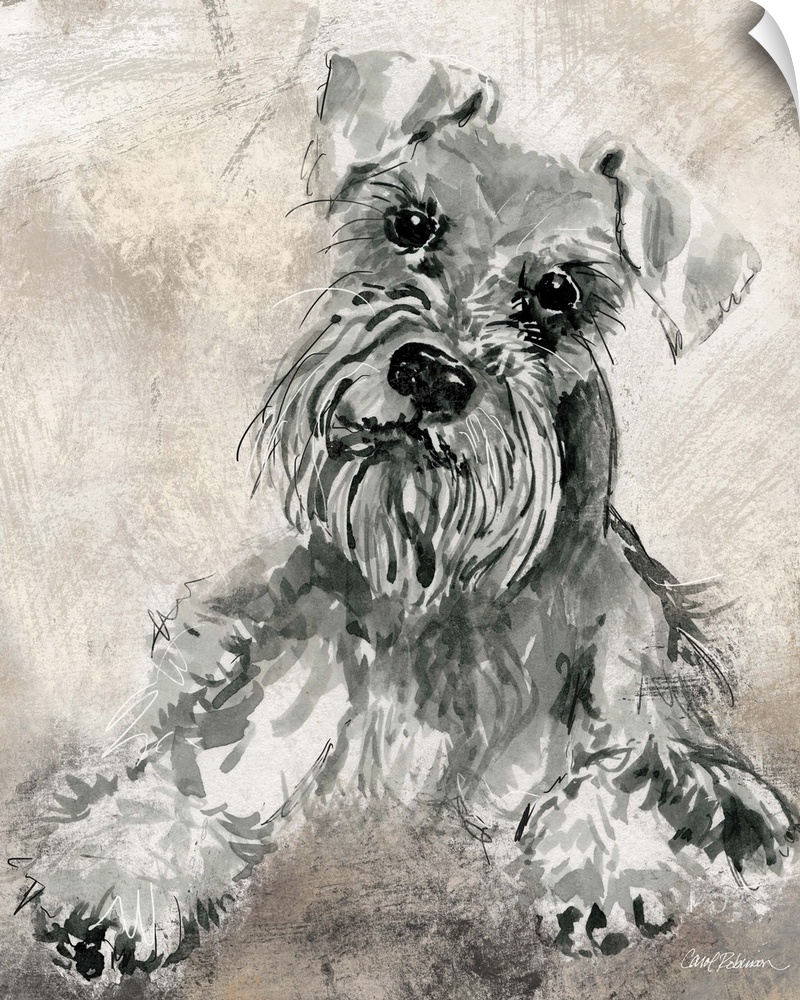 Watercolor painting of a cute schnauzer in grey, black, and white tones on a mixed neutral colored background.