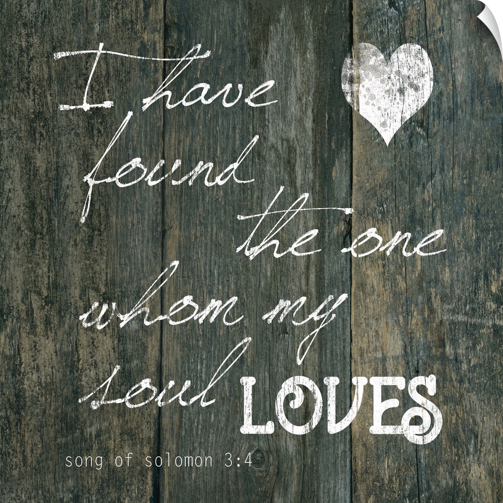 "I Have Found The One Whom My Soul Loves" Song of Solomon 3:4