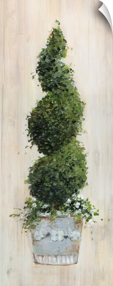 A contemporary still life painting of a spiral topiary with a wood grain background.