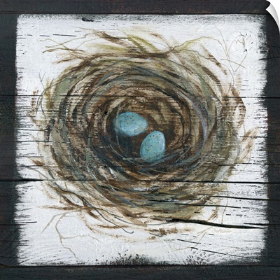 Stained Nest