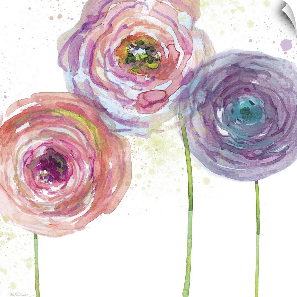 A watercolor painting of three pink, purple, and blue toned flowers.