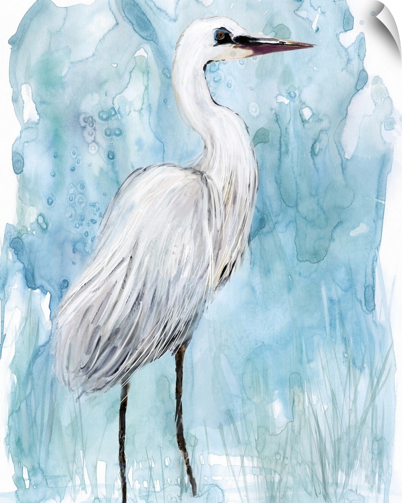 Watercolor painting of a white Egret on a blue background.
