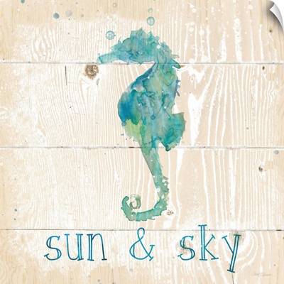 Sun and Sky