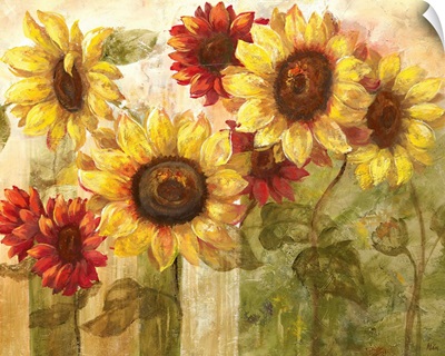 Sunflower's Delight