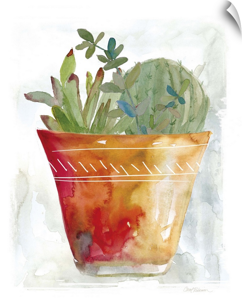 A watercolor painting of a cactus in a terracotta pot.
