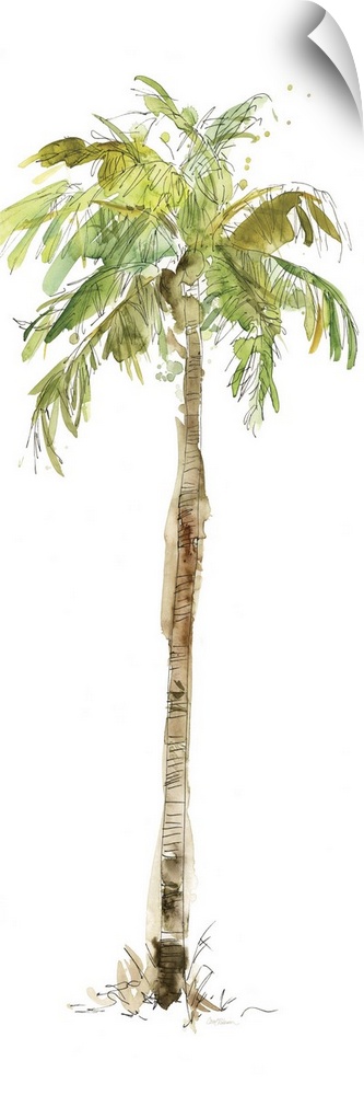 Tall watercolor painting of a palm tree on a solid white background.