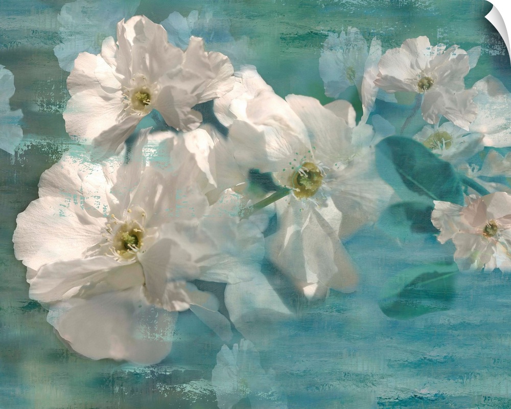 Dream-like painting of white jasmine flowers on a blue background with wood grain.