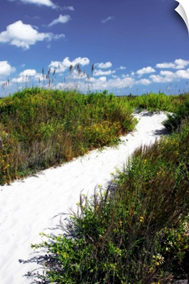 A Sandy Pathway II
